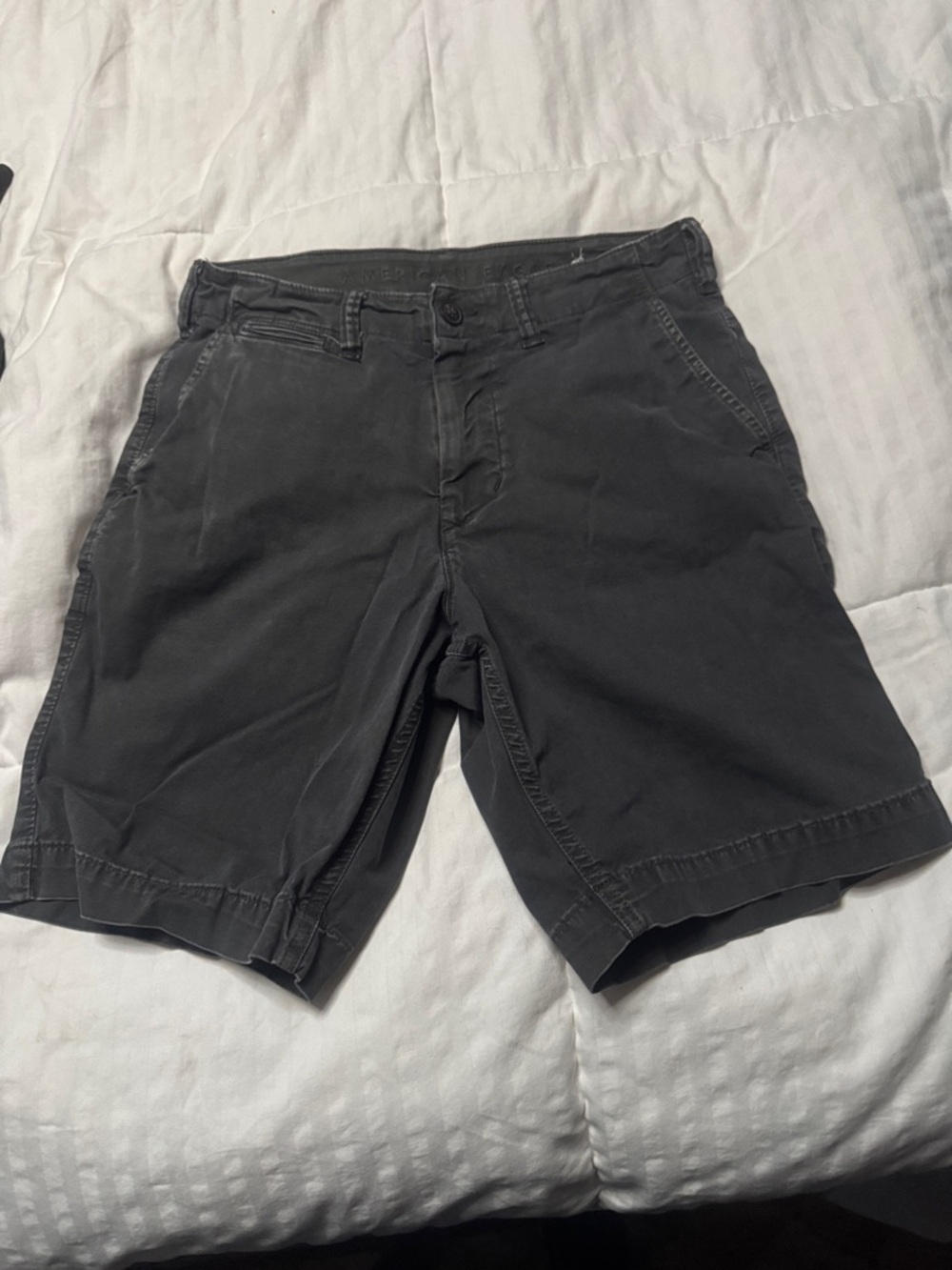 American Eagle Outfitters Charcoal Flat-Front Men's Shorts